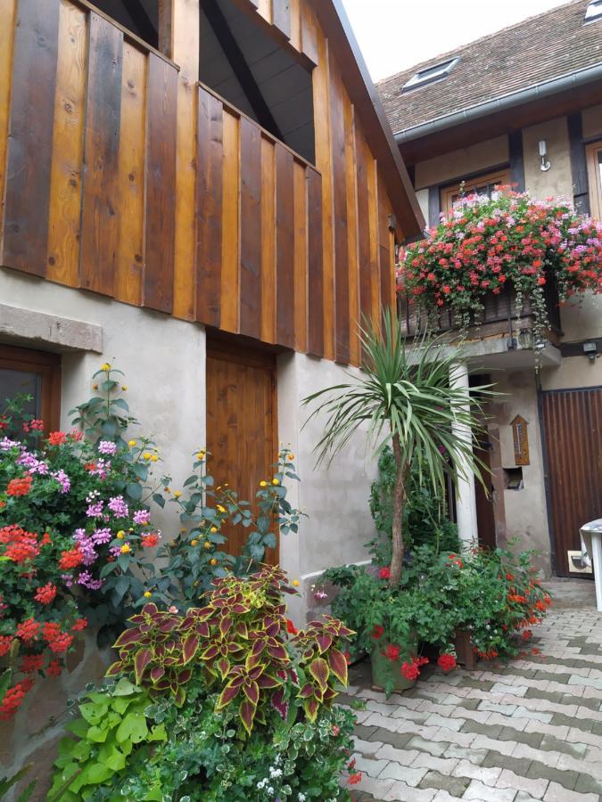 Appartement Duplex Chez Sandra Ottrott Kültér fotó